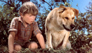 Poll: What is the best dog movie?