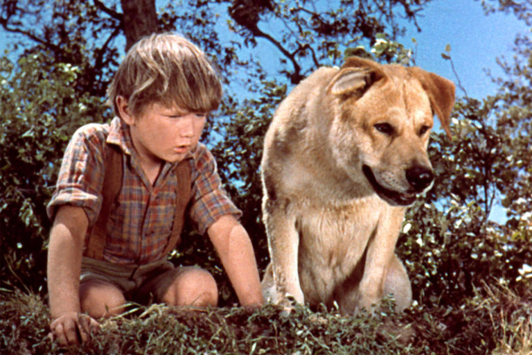Poll: What is the best dog movie?
