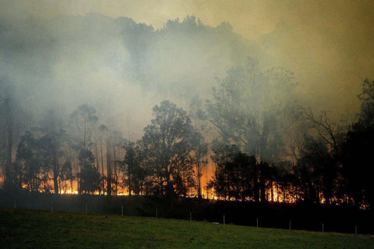 Movie Review (TIFF 2021): ‘Burning’ is a Devastating and Crucial Documentary About the Australian Black Summer