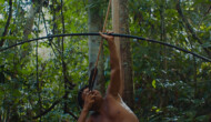 Interview: Brazilian Director Luiz Bolognesi discusses Netflix Documentary ‘The Last Forest’