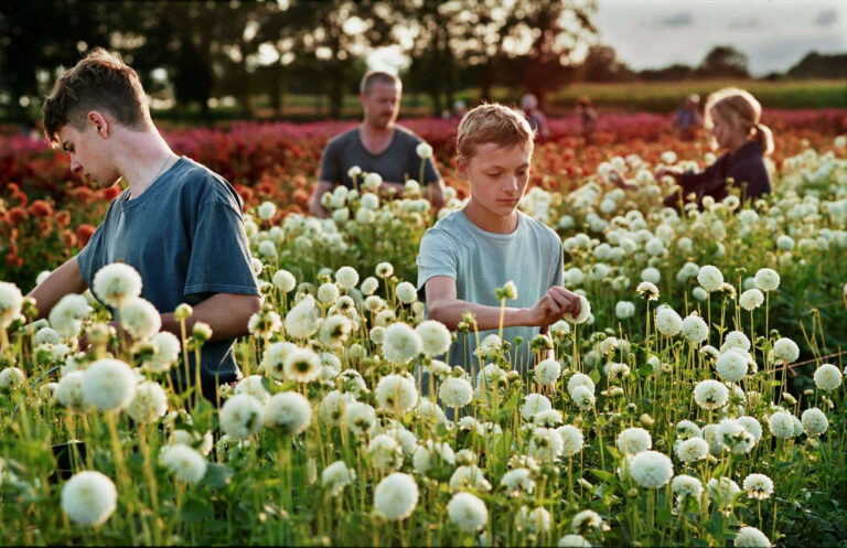 Movie Review: ‘Close’ is a Beautiful and Striking Tear-jerker