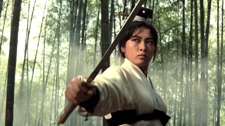 The King Of Wuxia: Hu’s Legacy Of Martial Arts On Film