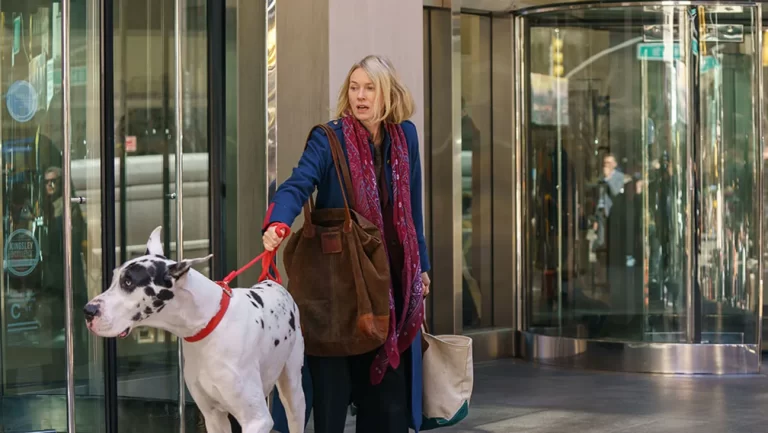 Movie Review (NYFF 2024): ‘The Friend’ Extends Its Familiarity Far With Charm and Humor
