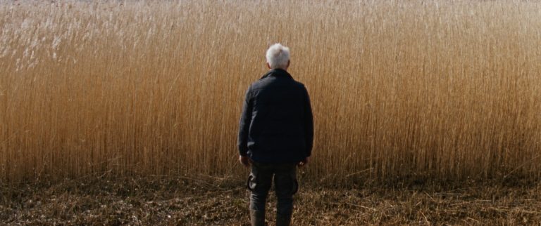 Movie Review (Cannes 2025): ‘Reedland’ Weaves Mystery in the Fields, but Stumbles Midway