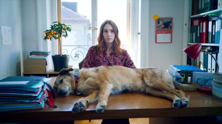 Movie Review: ‘Dog On Trial’ Takes Its Comedy Seriously