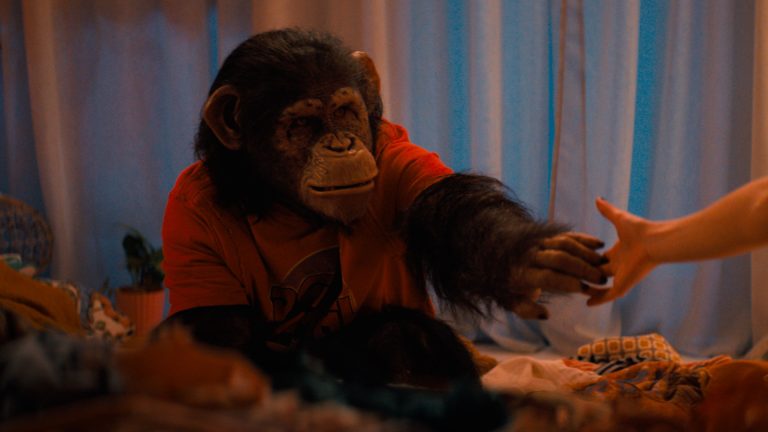 Movie Review: ‘Primate’ Offers Just Enough Campy and Bloody Fun
