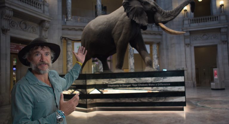 Movie Review: ‘Ghost Elephants’ Listens for Footsteps in the Fog