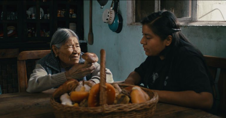 Movie Review: ‘Daughters of the Forest’ Defies the Fear of Extinction