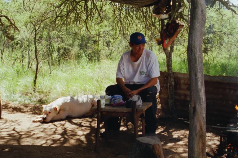 Movie Review (Cannes 2026): ‘La Libertad Doble’ Revisits a Traversed Journey with Older Eyes