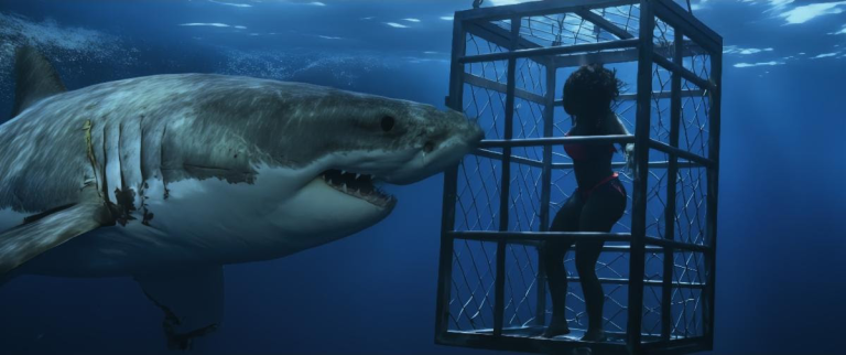 Movie Review: ‘Chum’: Blood and Wedding Bells Makes B-Movie Bliss