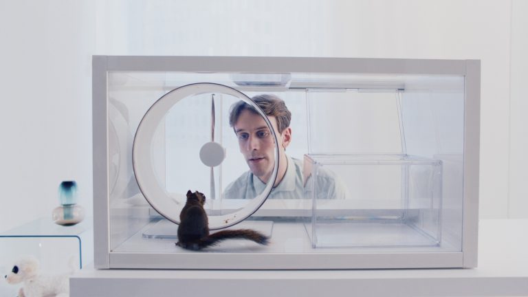 Three Strange Outings From Fantastic Fest 2026